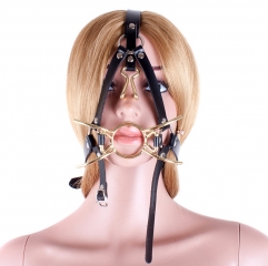 Fetish Fantasy Extreme Spider Gag with Nose Hook and Head Harness Gold