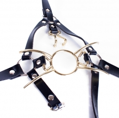 Fetish Fantasy Extreme Spider Gag with Nose Hook and Head Harness Gold
