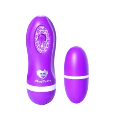 egg221