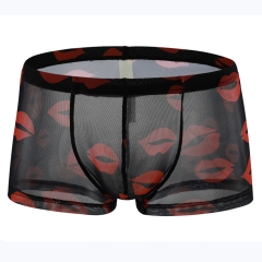 Translucent mesh lip boxers