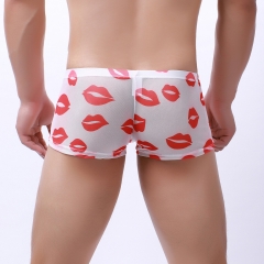 Translucent mesh lip boxers