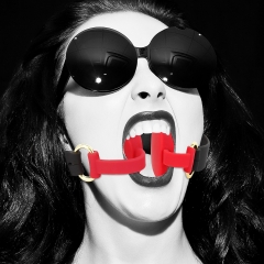 New mouth gags