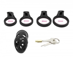 Chastity toys