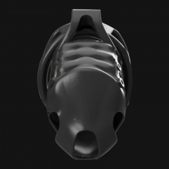 New chastity cage